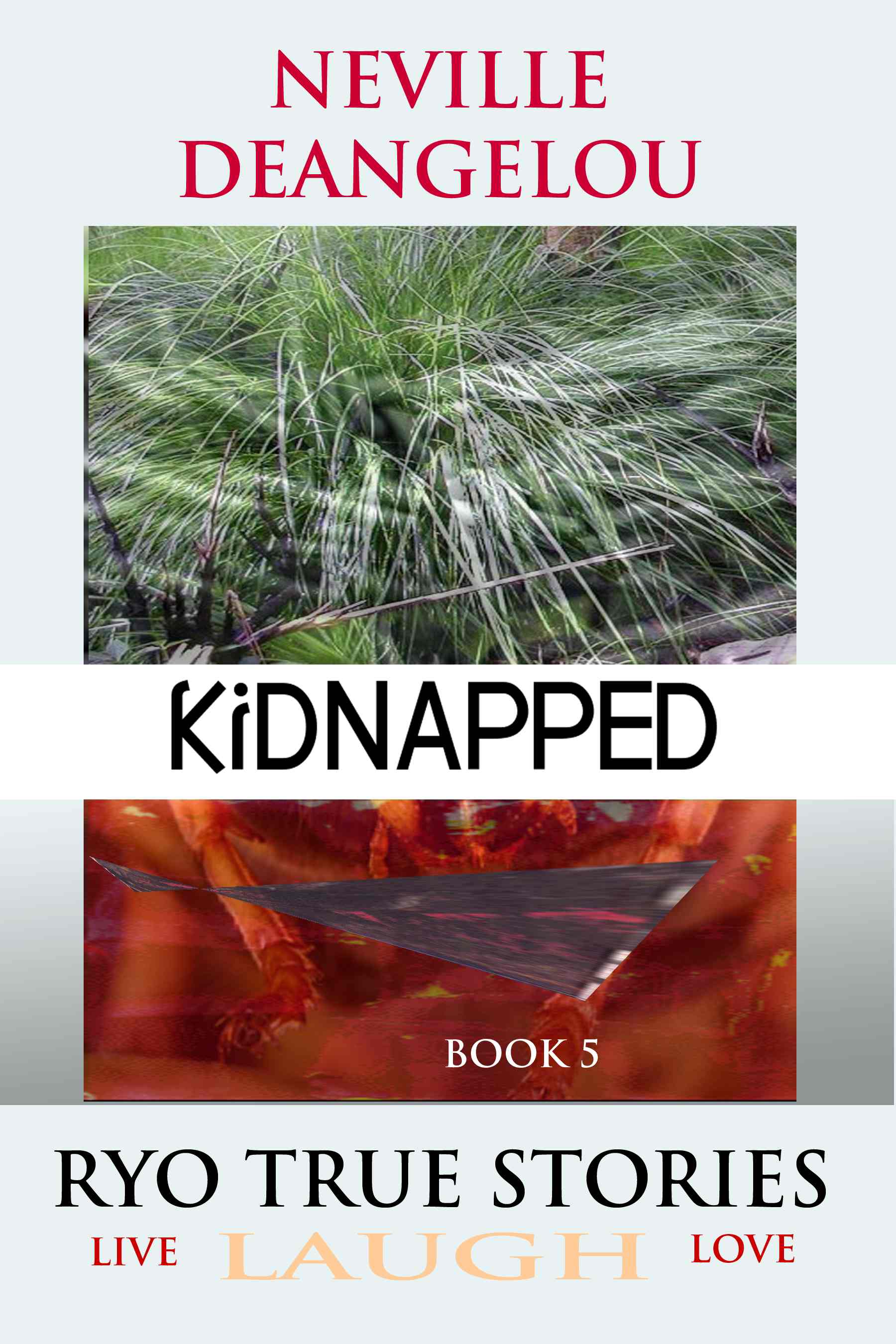 Kidnapped Book 2